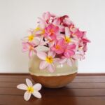 Archipelago Designs Hawaii